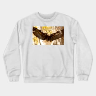 Bald Eagle in Flight Crewneck Sweatshirt